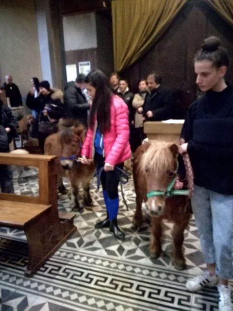 Domani alla parrocchia Santa Caterina di Asti una particolare messa per benedire gli animali
