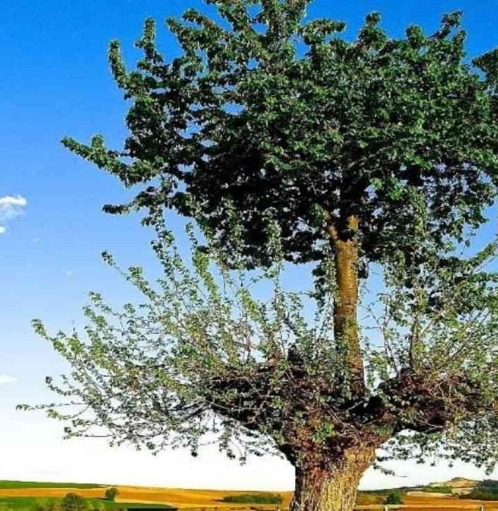 Vacanze Astigiane tra i piaceri del vino greco