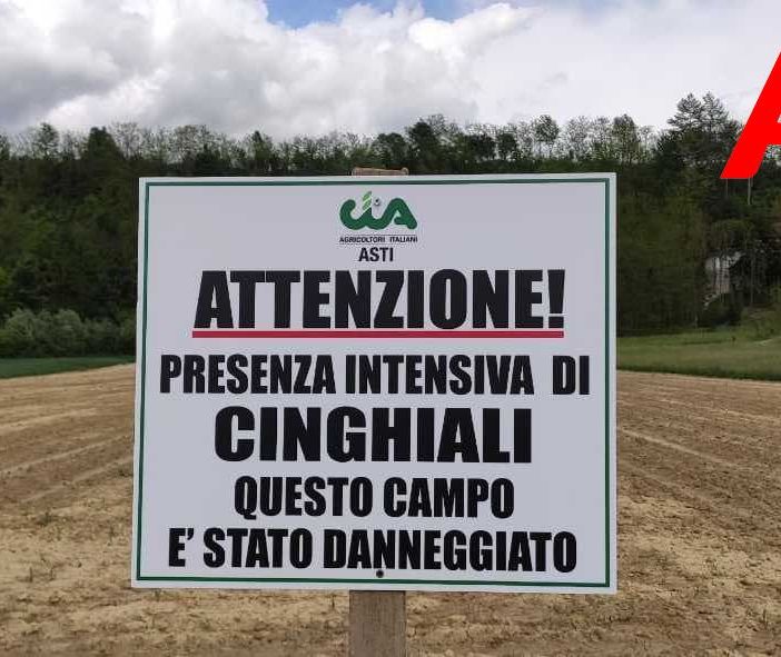 Cartello CIA campo danneggiato da cinghiali