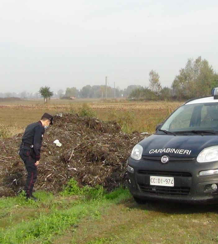 Immagini inerenti l'operazione dei Carabinieri Forestali