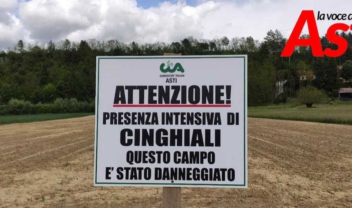 Uno dei cartelli affissi nell'Astigiano in aree danneggiate da fauna selvatica