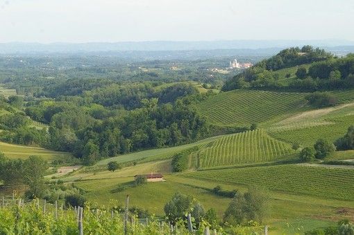 Domani ad Asti si inaugura il Festival del Paesaggio Agrario 2019