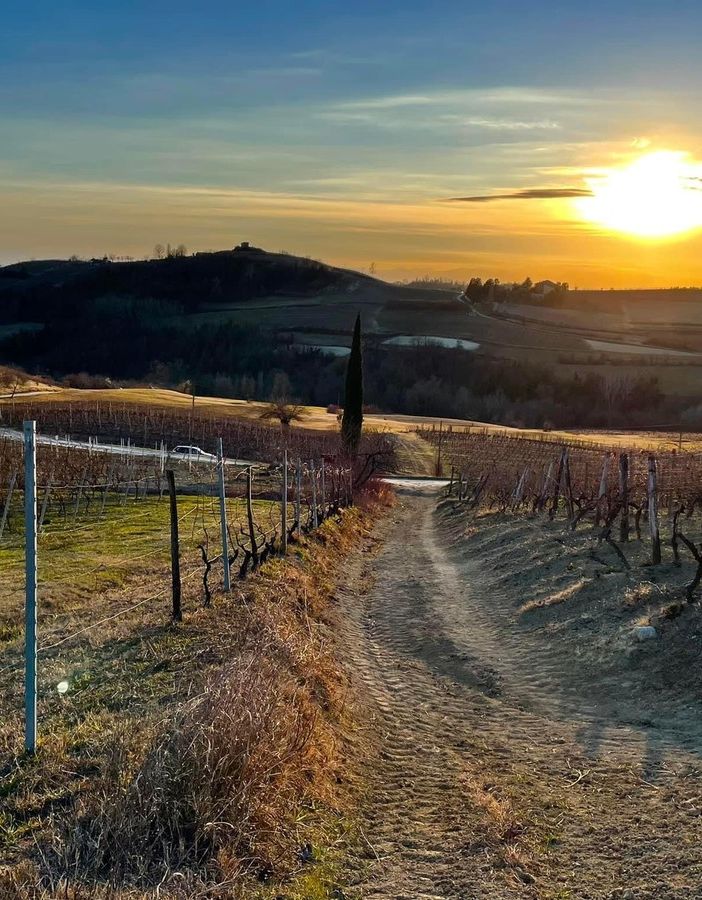 L'immagine della campagna astigiana vincitrice del nostro contest fotografico - Scatto inviato da Federica Filippello