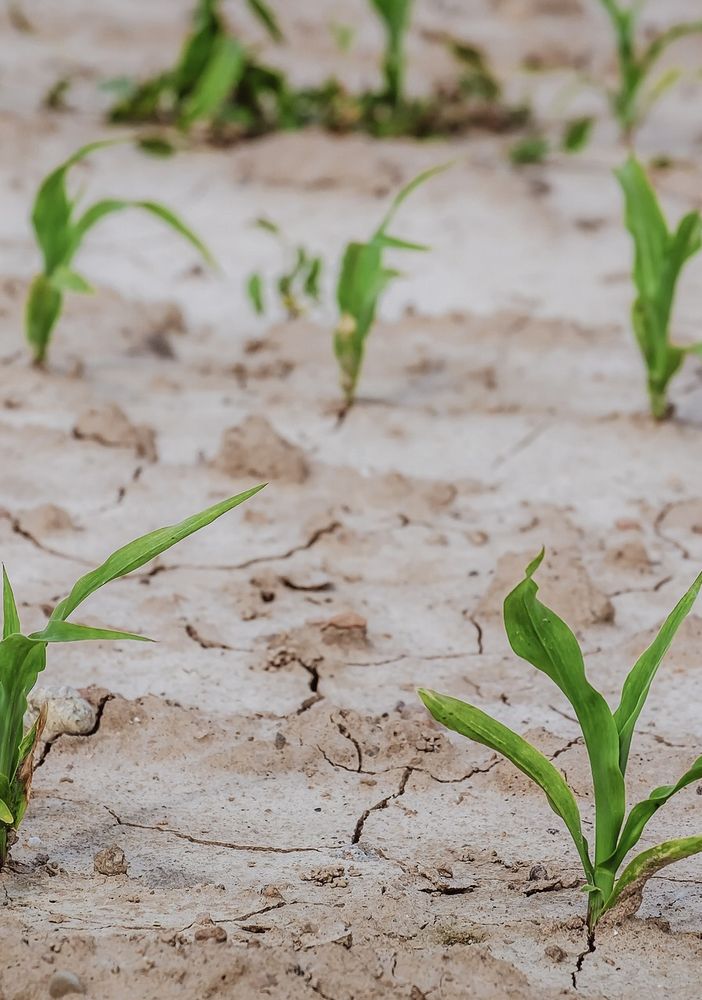 La siccità non smette di impensierire l'Astigiano: la perturbazione del primo maggio è stata un'occasione sprecata