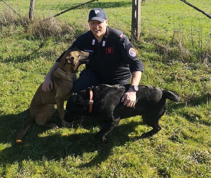Due dei quattro cani salvati dai carabinieri forestali