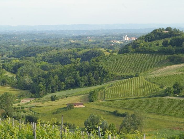 Colline di Albugnano