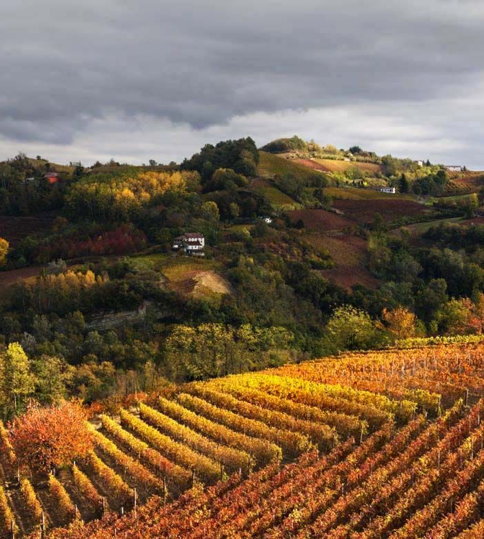 Colori del Nord Astigiano sontuosamente fotografati da Enzo Isaia