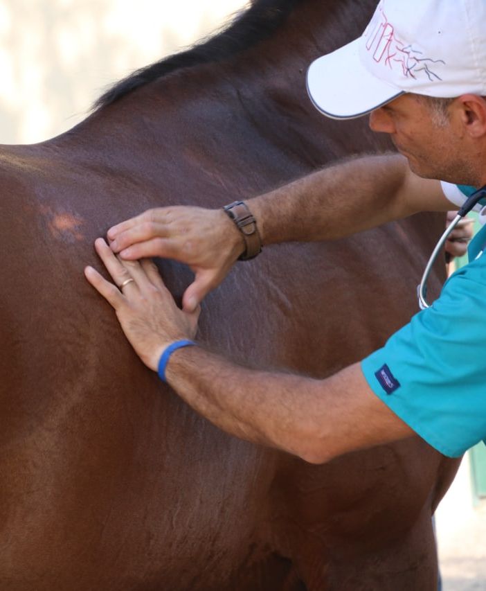 Aperte le iscrizioni per le corse di addestramento dei cavalli del Palio 2022