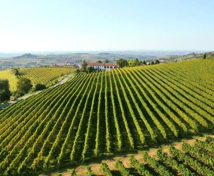 Costigliole d'Asti, tra i comuni più vitati del Piemonte
