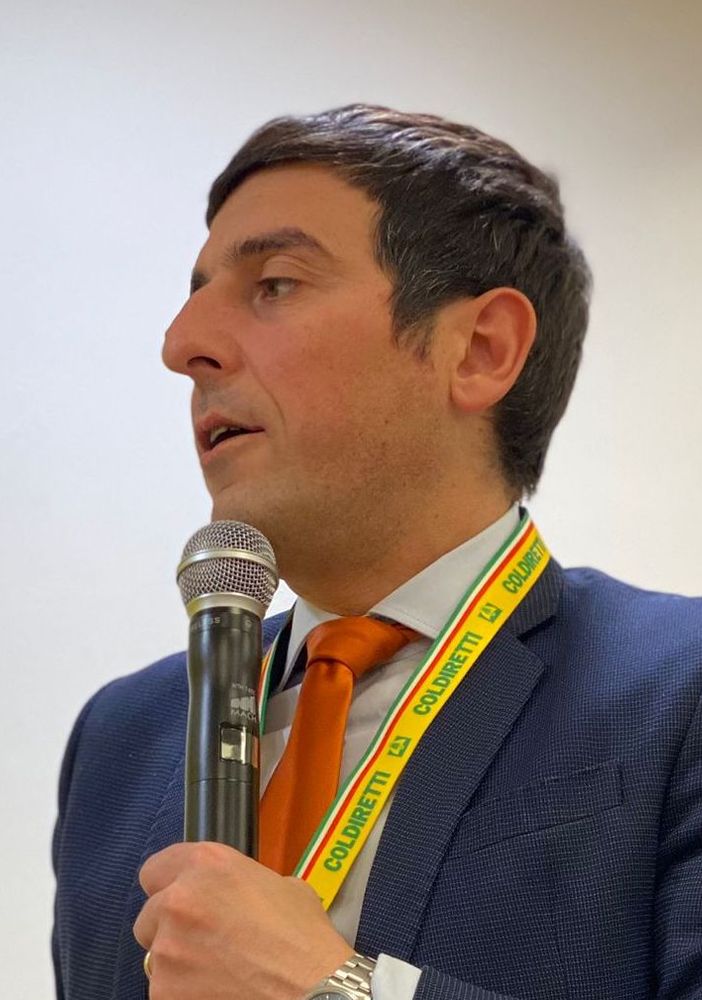 Diego Furia