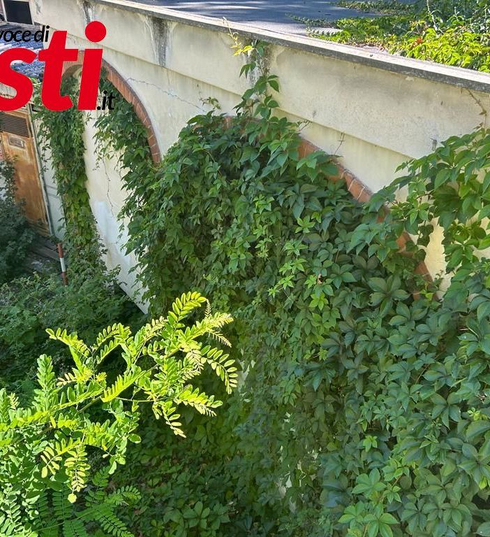 &quot;Uniti si può&quot; torna a sollecitare interventi nell'area delle Antiche Mura [GALLERIA FOTOGRAFICA]