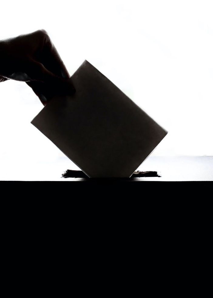Domenica si vota