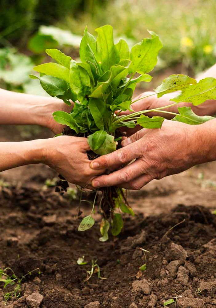 È ora di Comunità Sostenibile e Partecipazione