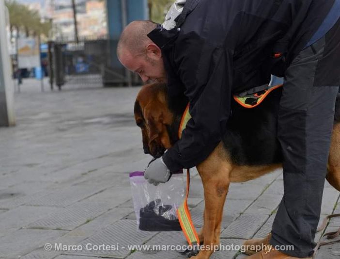 Nuovo workshop piemontese con cani molecolari e istruttori internazionali