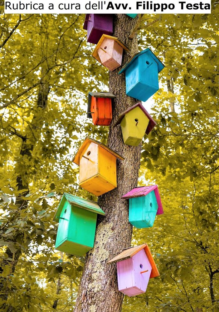 La casetta sull'albero è abusiva!