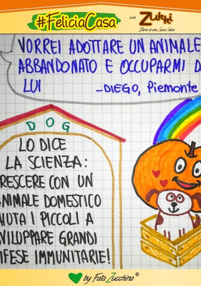 FavoleaCasa: Fata Zucchina legge e commenta &quot;il prezzo del cagnolino&quot;, racconto per l'anima
