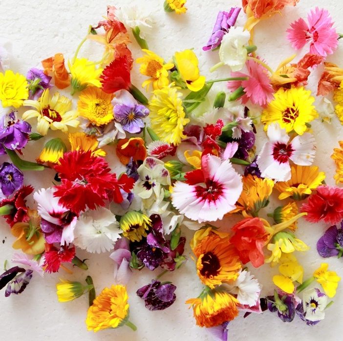 Fiori eduli a Fior di Lanze