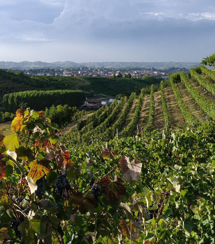 Incentivare turismo ed eccellenze locali con il Distretto del Commercio delle Terre di vini e tartufi
