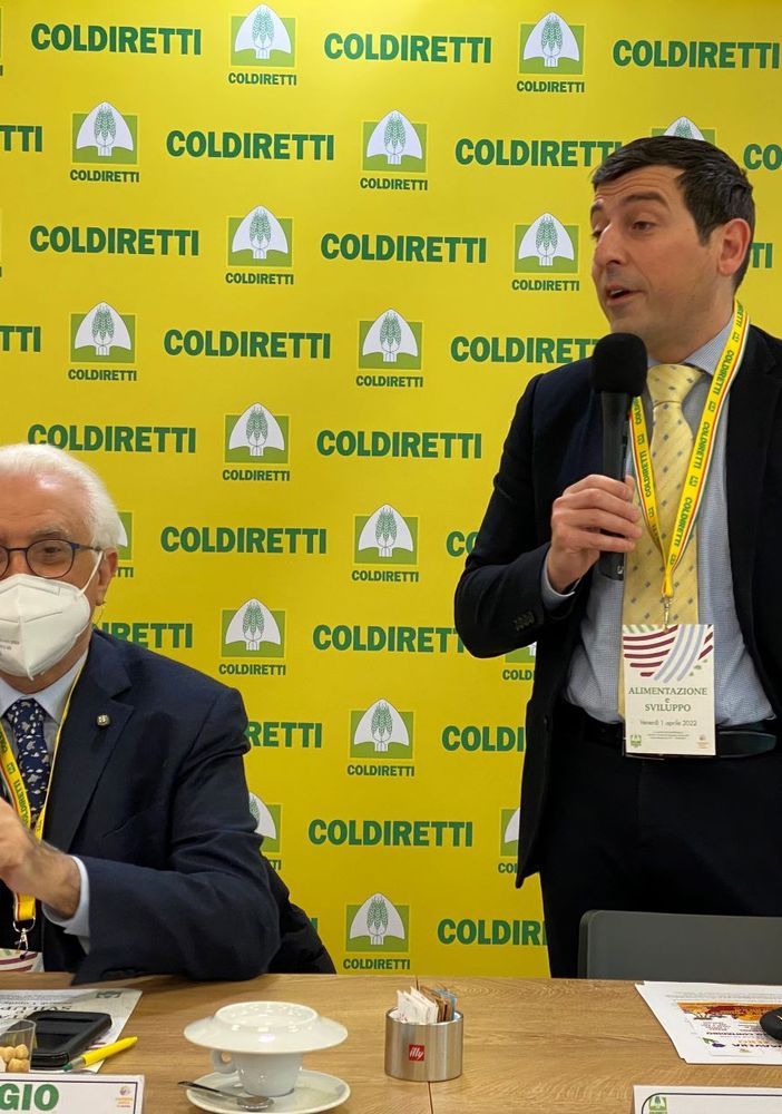 Calabrese e Furia