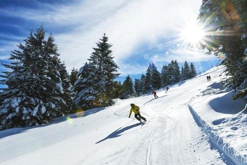 Sciatore su pista