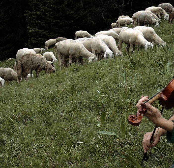 In questo mondo di Anna Kauber
