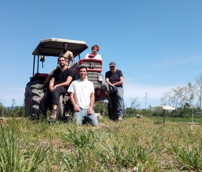 Azienda agricola &quot;Il cortile di Simone Artesi&quot;, Calliano