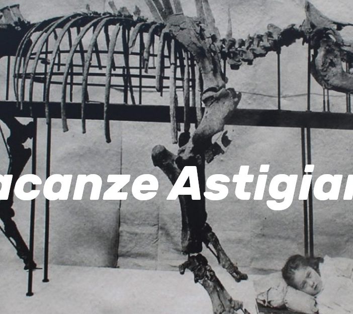 Il rinoceronte ritrovato a Dusino San Michele, custodito al Museo Regionale di Scienze Naturali di Torino