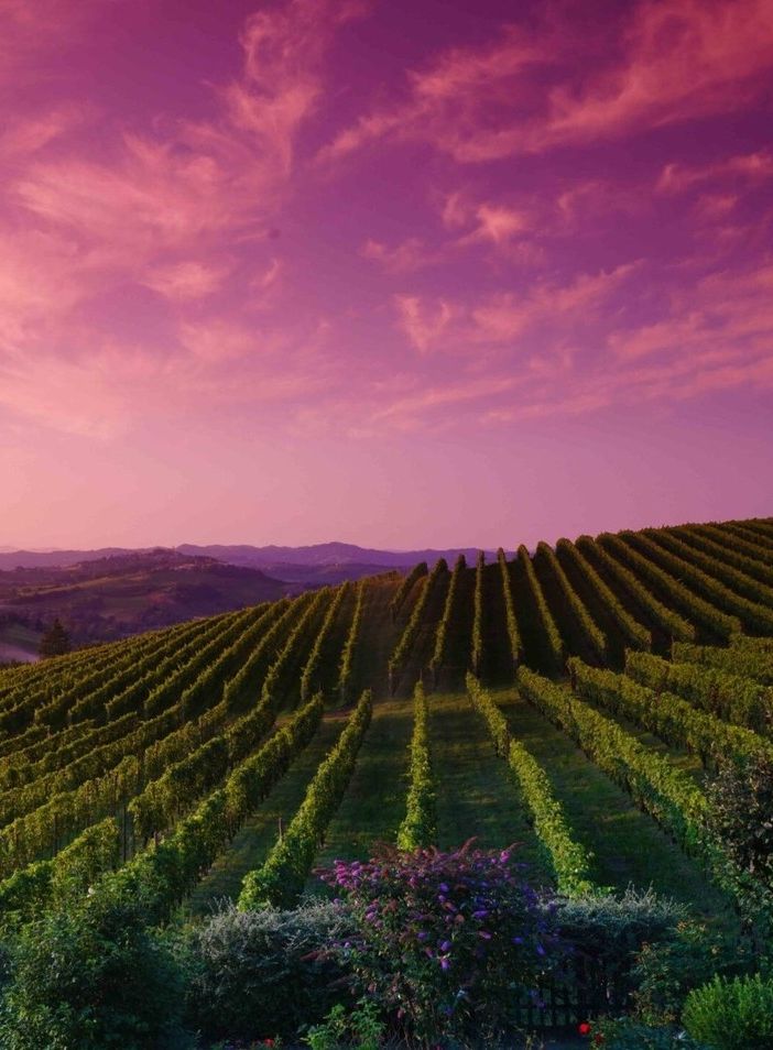 In certi posti anche il cielo vira ai colori del vino (pH  Mauro Parmesani)