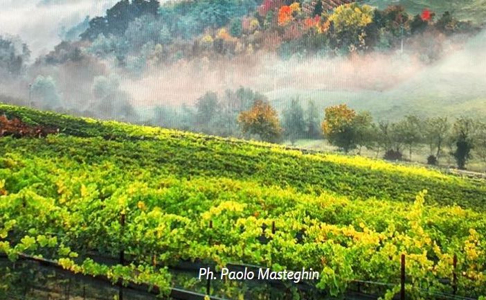 Ph Paolo Masteghin