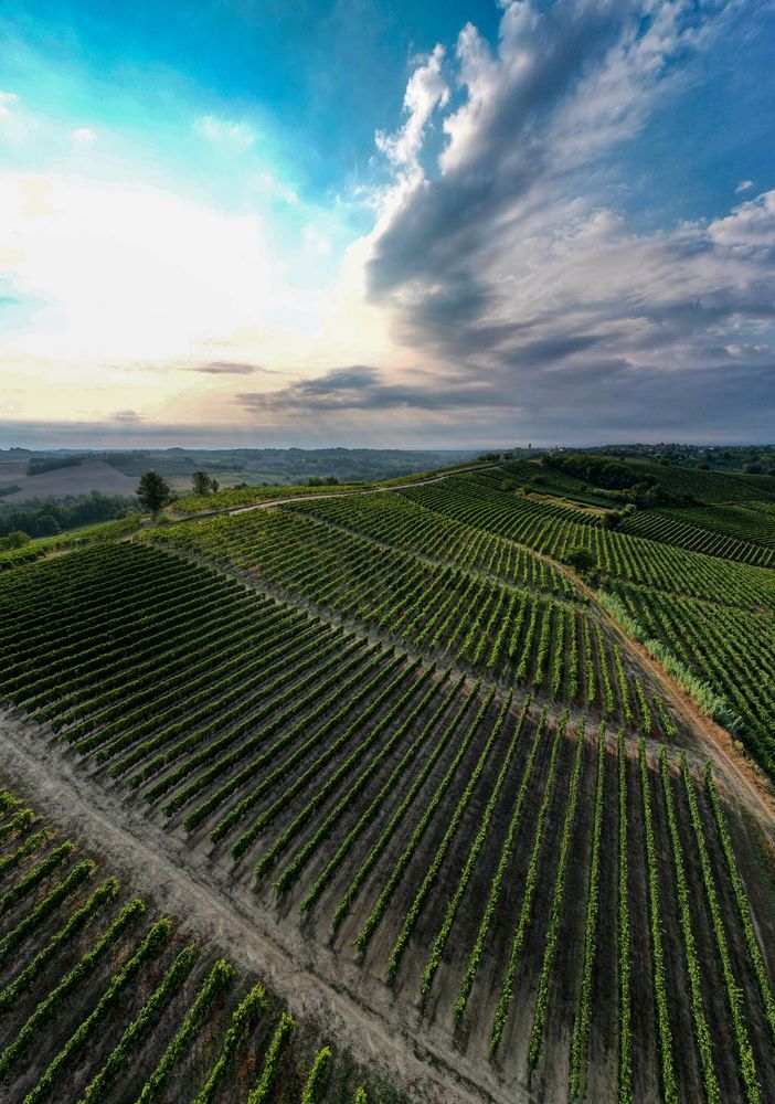 Le colline del Ruché di Castagnole Monferrato