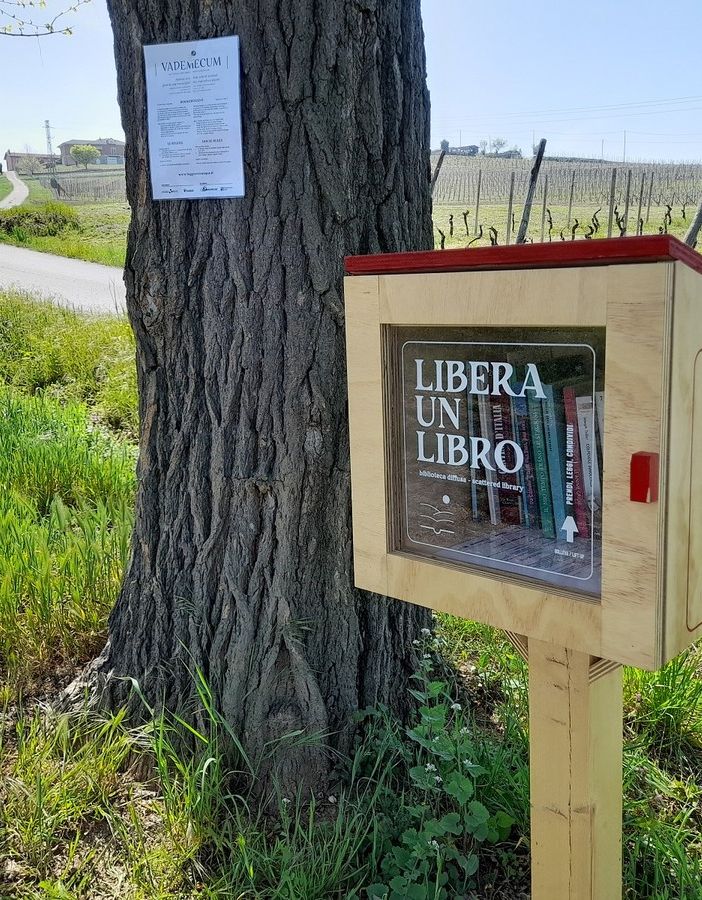 Leggere Ovunque, al tempo del Salone del Libro. Eventi anche a Costigliole