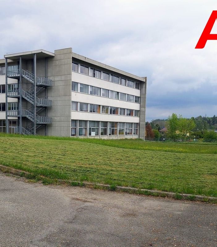 Il liceo scientifico Francesco Vercelli