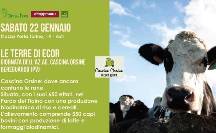 Locandina presentazione Cascine Orsine