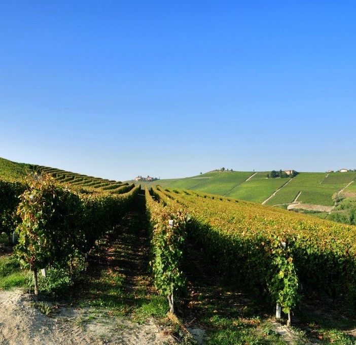 L'Asti Docg sarà anche rosé: la modifica al disciplinare presentata ai Comuni del Moscato