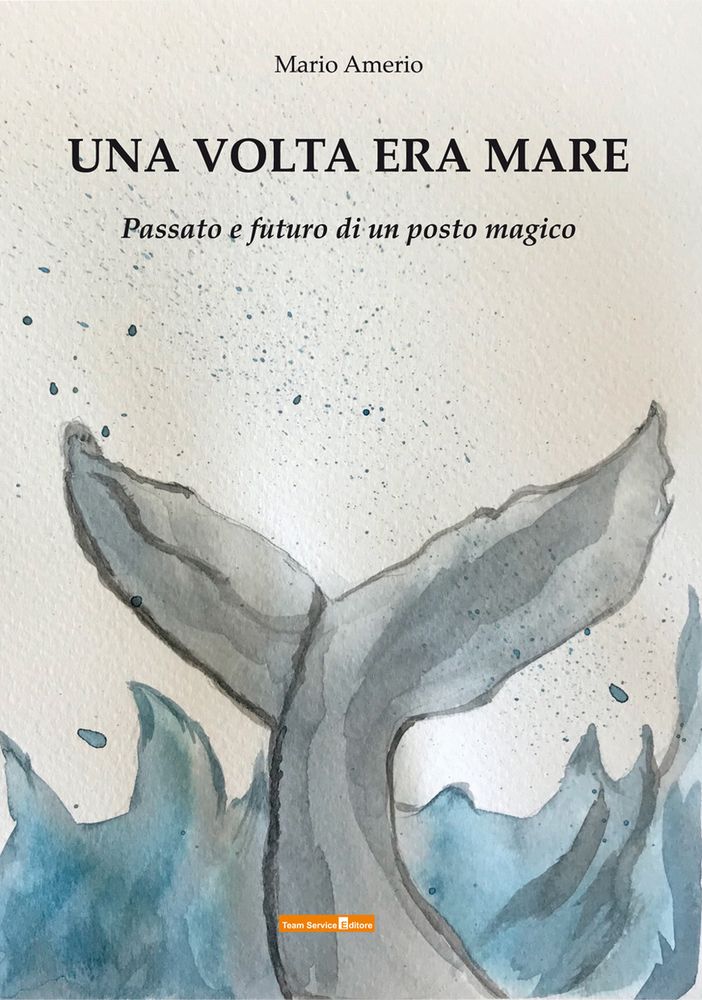 La copertina del libro di Amerio
