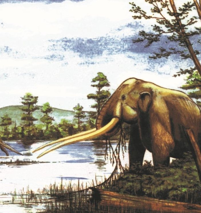 Mastodonte del Villafranchiano