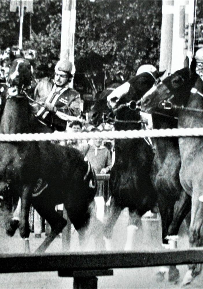 Foto Museo del Palio