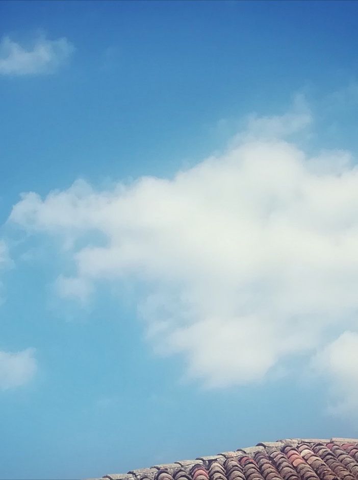 &quot;Storie dall'alveare&quot;, una favola al giorno per i vostri bambini. Oggi &quot;Nuvole di drago&quot;