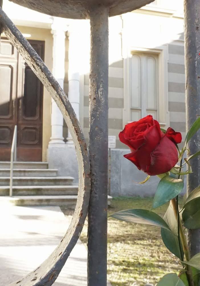 Giornata della Memoria: venerdì mattina anche una cerimonia davanti alla Sinagoga e al cimitero ebraico