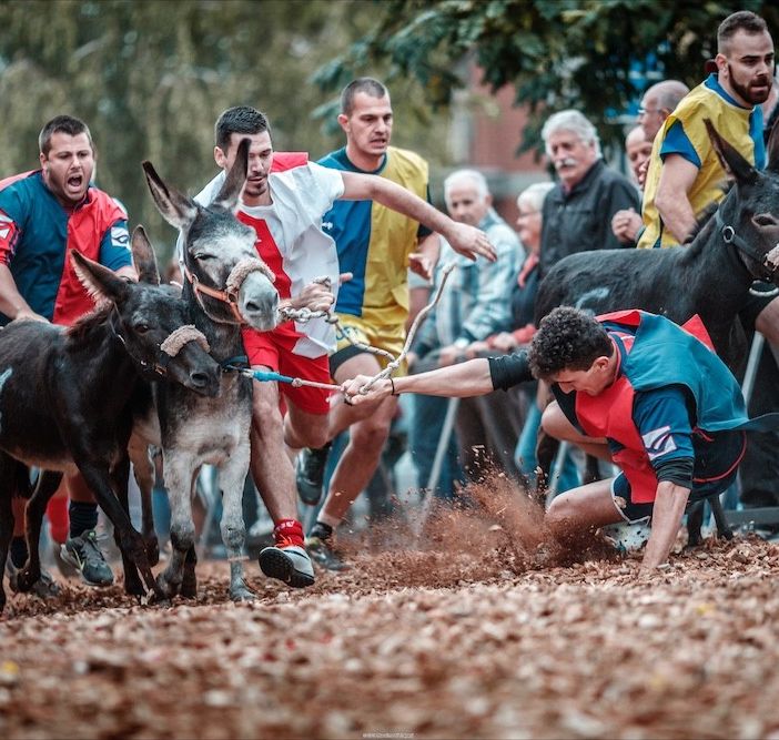 Settembre Cocconatese: festa patronale, fiera medievale e Palio degli asini
