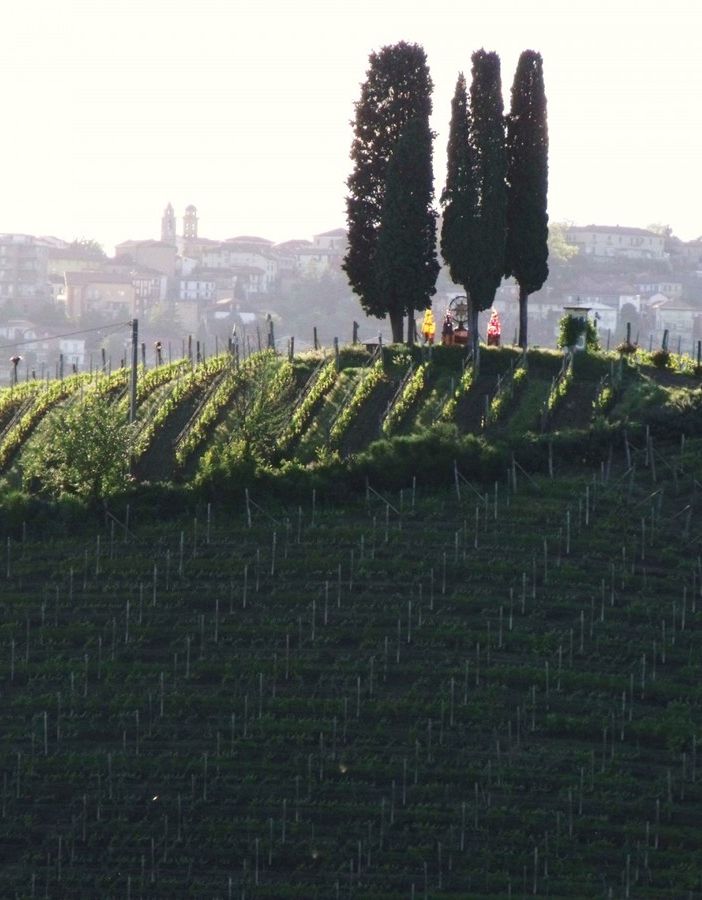 Vacanze nell’Astigiano in cammino tra le vigne