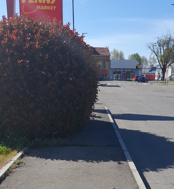 La siepe di via Monti che crea difficoltà al passaggio dei pedoni