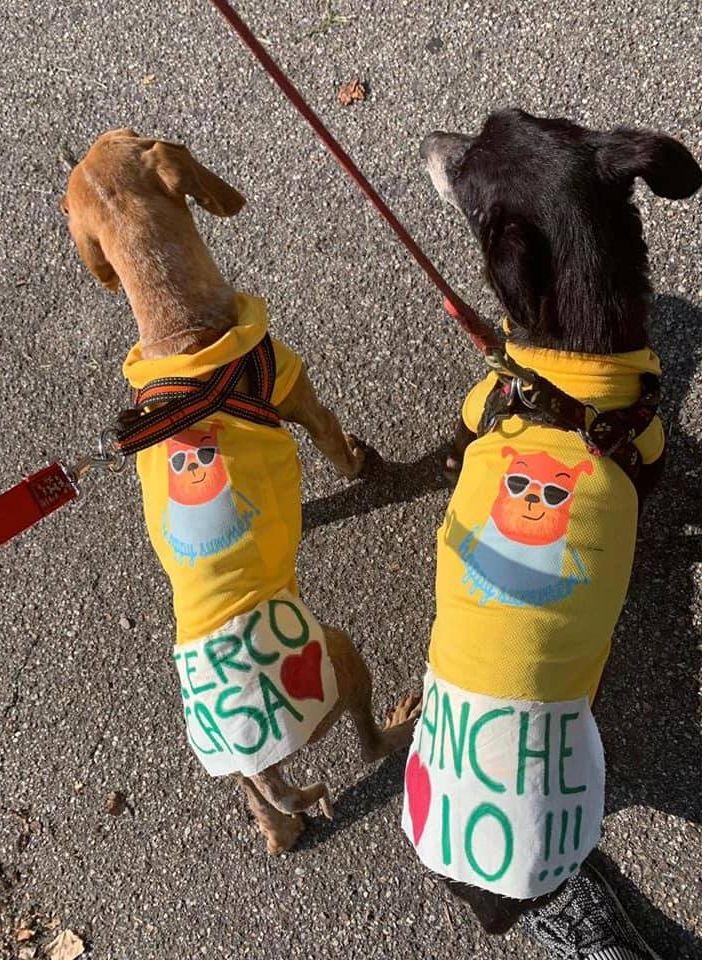 Una pagina Facebook per gestire l’emergenza animali rimasti soli in tempo di Covid-19