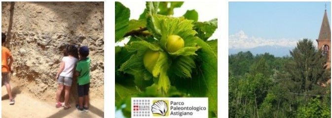 Proposte di luglio del Parco Paleontologico Astigiano