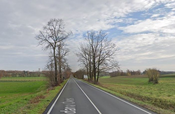 Un tratto della provinciale tra Castello di Annone e Quattordio