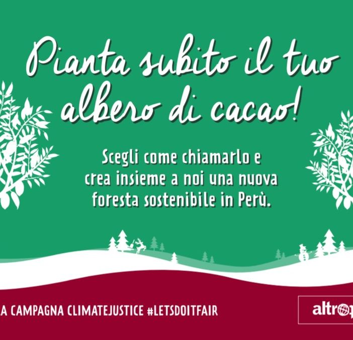 A Natale regala un albero di cacao. Adottandolo si contribuirà alla nascita di una foresta