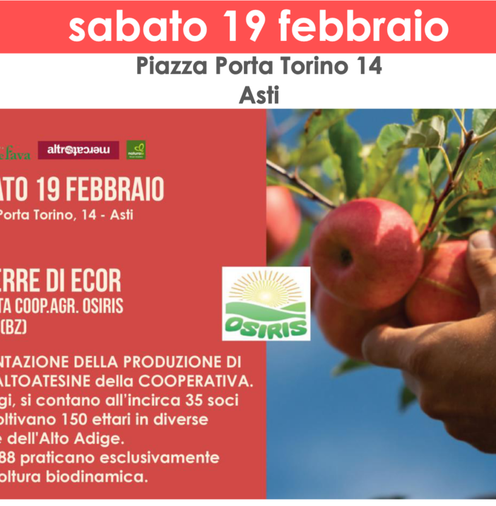 Prosegue con numerose iniziative e proposte il febbraio targato Rava e Fava