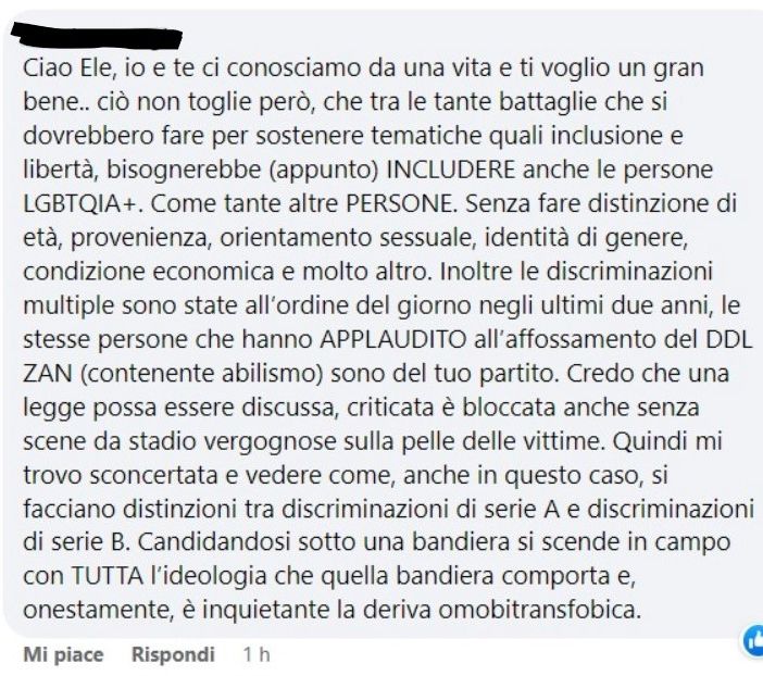 Lo screenshot del commento cui fa riferimento la lettera