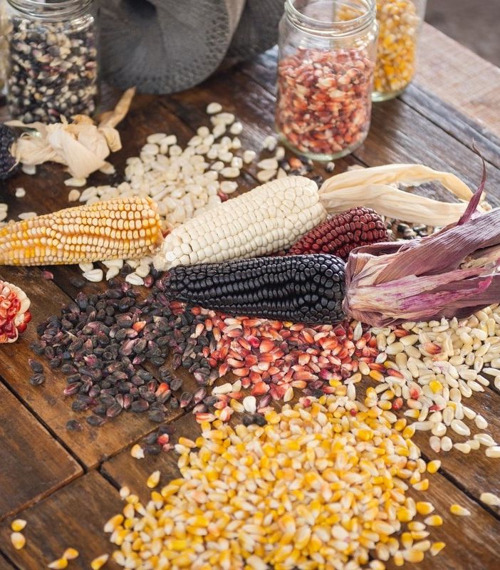 Viviamo in un posto bellissimo di saperi, sapori e semi