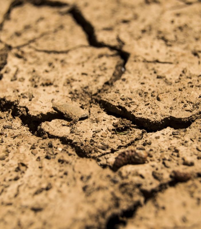 Confagricoltura: “Emergenza siccità, si dichiari lo stato di calamità naturale”
